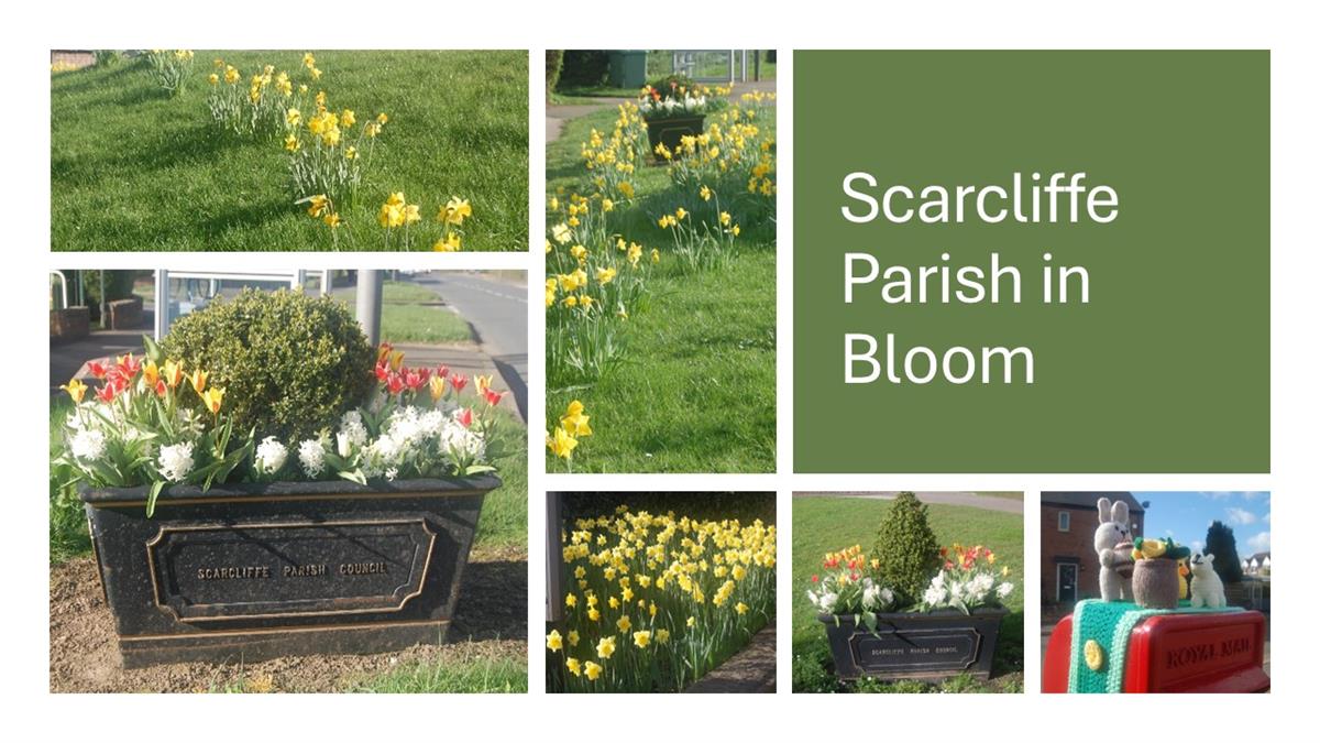 Scarcliffe in Bloom poster